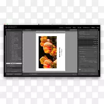 电脑软件多媒体-空若网 电脑软件多媒体-空若网
