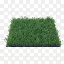 Âó²Ý²ÝƺËÇÁÏ´óÂó²Ý-¿ÕÈôÍø Âó²Ý²ÝƺËÇÁÏ´óÂó²Ý-¿ÕÈôÍø