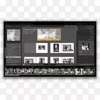 �����������Ʒ����������-������