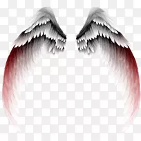 ��Ӱ������-�ݶ���ʹ���-������