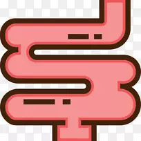 人体淋巴系统-肠道-空若网 人体淋巴系统-肠道-空若网