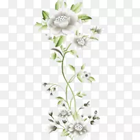 花卉设计切花花束植物茎花-空若网 花卉设计切花花束植物茎花-空若网