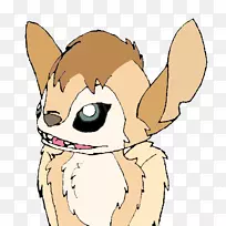 胡须,小狗,猫,狗,鼻子,小狗-空若网 胡须,小狗,猫,狗,鼻子,小狗-空若网