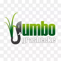 菜园巨无霸菜园纳皮尔草园艺.桂花-空若网 菜园巨无霸菜园纳皮尔草园艺.桂花-空若网