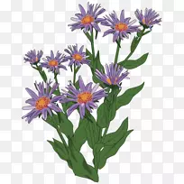 大比利牛斯剪贴画-大比利牛斯-空若网 大比利牛斯剪贴画-大比利牛斯-空若网