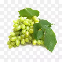 红葡萄酒紫汁葡萄绿-高清绿葡萄png图片资料下载-空若网 红葡萄酒紫汁葡萄绿-高清绿葡萄png图片资料下载-空若网