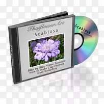 Microsoft Office 2010 Microsoft PowerPoint����-Microsoft-������