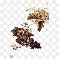 昆虫工笔画宋代画-一丝不苟的葡萄画-空若网 昆虫工笔画宋代画-一丝不苟的葡萄画-空若网