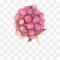 ˮ�ʻ�������ˮ�ʻ������ֻ�ˮ�ʻ����ѻ���-������