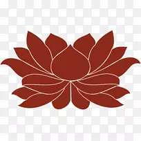 ���껨��ƶԳ�ͼ�����-������