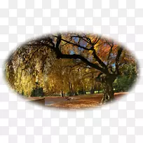 ����Ȼ-��-������