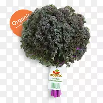 乔木灌木草本植物-空若网 乔木灌木草本植物-空若网