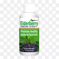 超级食物野兔本田浆果-空若网 超级食物野兔本田浆果-空若网