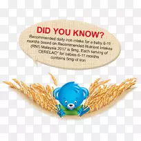 雀巢商品草-糙米-空若网 雀巢商品草-糙米-空若网