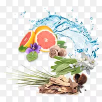 ʳƷ��isbw2113b��-���㻨-������