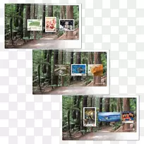 窗口树-窗口-空若网 窗口树-窗口-空若网