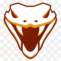 ��ֽ����������-������