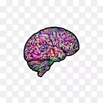 ���ͱ�־dj�б�-������