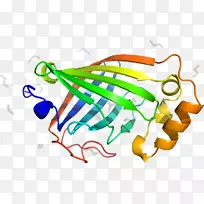 平面设计蔬菜剪贴画-蔬菜-空若网 平面设计蔬菜剪贴画-蔬菜-空若网