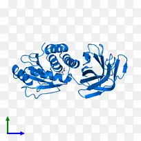 Ʒ�Ƽ��������-������