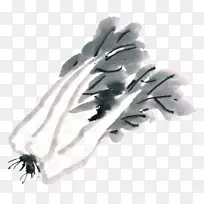 大白菜水彩画蔬菜画-卷心菜画-空若网 大白菜水彩画蔬菜画-卷心菜画-空若网