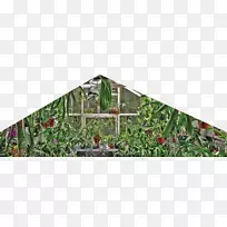 地块草树不动产树-空若网 地块草树不动产树-空若网