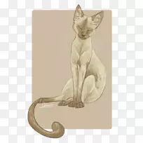 ����Сè����è-����è-������