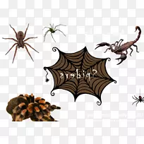 Ы×ÓÀ¥³æ-¿ÕÈôÍø Ы×ÓÀ¥³æ-¿ÕÈôÍø