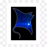 星电蓝色字体-空若网 星电蓝色字体-空若网