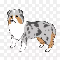 犬种澳大利亚牧羊犬伴犬鼻子澳大利亚牧羊犬-空若网 犬种澳大利亚牧羊犬伴犬鼻子澳大利亚牧羊犬-空若网