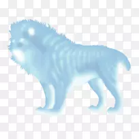 ��è�����ֽ���ӵ��Թ�-������