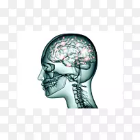 ����������Ԫ��ϵͳ-�Թ���-������