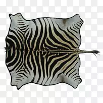 大猫陆生动物鼻子野生动物-猫-空若网 大猫陆生动物鼻子野生动物-猫-空若网