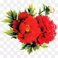 花卉设计切花康乃馨花束-鲜花-空若网 花卉设计切花康乃馨花束-鲜花-空若网