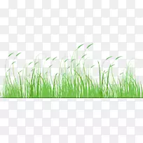 父亲节促销节家长卡通绿草-空若网 父亲节促销节家长卡通绿草-空若网