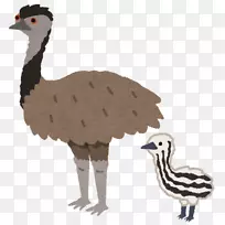 ��ͨ����-������