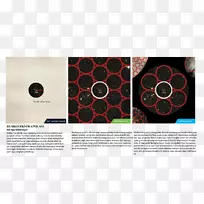 ƽ�����Ʒ�����-������