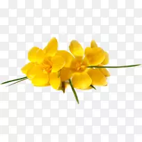 ����ڲ����˵�-������