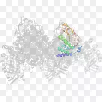 平面设计桌面壁纸树体珠宝树-空若网 平面设计桌面壁纸树体珠宝树-空若网