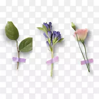 花瓣花紫色-三束花-空若网 花瓣花紫色-三束花-空若网