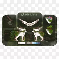 品牌藻类-空若网 品牌藻类-空若网