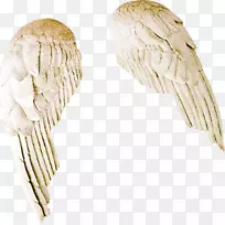 Òíǽֽ-¼Ù³á°ò-¿ÕÈôÍø Òíǽֽ-¼Ù³á°ò-¿ÕÈôÍø