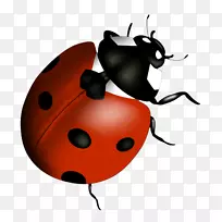 ¼×³æÅ®Äñ¼ÐÒÕÊõ-¼×³æ-¿ÕÈôÍø ¼×³æÅ®Äñ¼ÐÒÕÊõ-¼×³æ-¿ÕÈôÍø