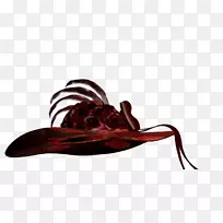 ����ñ��ɫ-������