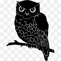 猫头鹰嘴白色字体-猫头鹰-空若网 猫头鹰嘴白色字体-猫头鹰-空若网