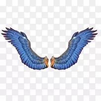 博客微软gif动画师gif艺术-roap-空若网 博客微软gif动画师gif艺术-roap-空若网