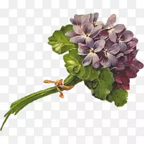 切花花束紫罗兰花-空若网 切花花束紫罗兰花-空若网