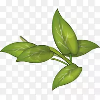 叶植物茎叶-空若网 叶植物茎叶-空若网