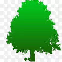 树圆叶字形树-空若网 树圆叶字形树-空若网