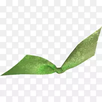 叶-空若网 叶-空若网